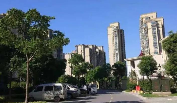 袋鼠安家 袋鼠安家