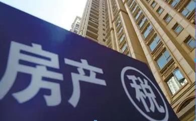 袋鼠安家 袋鼠安家