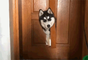 6530b0e85b2a4.gif 28.gif