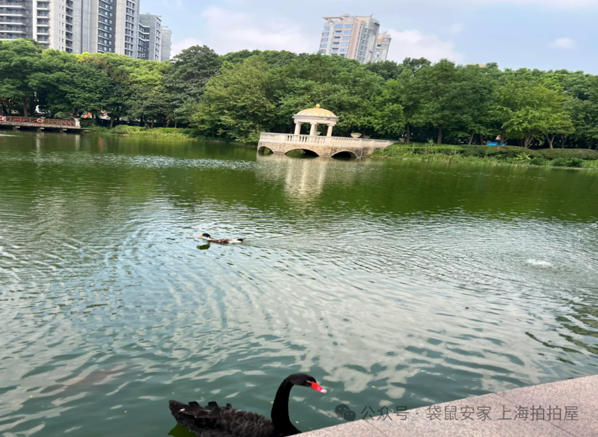 6904695b5b4b4.png 7.png